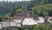 Tour Wandern Sankt Quirin - La priorale - Saint Quirin - Photo 4