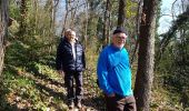 Trail Walking Chevreuse - la Madeleine 21/03/2019 - Photo 11
