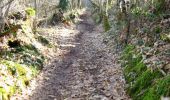 Trail Walking Saint-Pardoux-le-Vieux - Chemins de traverse 5km - Saint Pardoux le Vieux - Pays de Haute Corrèze  - Photo 1