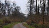 Trail Walking Montgobert - Montgobert - Puiseux - Photo 9