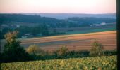 Trail Cycle Essoyes - Au Pays de Renoir - Essoyes - Photo 1