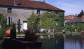 Randonnée Vélo Soulaines-Dhuys - Des coteaux du Champagne aux sources de la Dhuys - Soulaines Dhuys - Photo 2