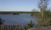 Tocht Stappen Saint-Amand-les-Eaux - Saint Jacques en Boulangrie -  St-Amand les Eaux - Bouchain - Photo 5