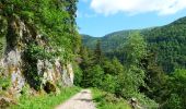 Trail Walking Mittlach - De Mittlach au lac de Fischboedle par la vallée de la Wormsa - Photo 4