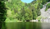 Trail Walking Mittlach - De Mittlach au lac de Fischboedle par la vallée de la Wormsa - Photo 3
