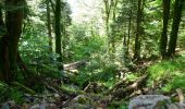 Trail Walking Mittlach - De Mittlach au lac de Fischboedle par la vallée de la Wormsa - Photo 2