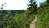 Trail Walking Orbey - Le Tour du Lac Blanc par le Rocher Hans et le sentier de crête - Photo 2