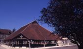 Tocht Fiets Piney - Les balcons du Parc - Piney - Photo 1