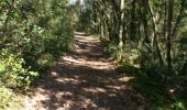 Trail Running Castels et Bézenac - St Vincent de Cosse 20.5km - Photo 3
