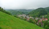 Tour Wandern Diedolshausen - Le Bonhomme - Circuit du village - Photo 2