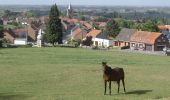 Randonnée Marche Boeschepe - Boeschepe- Village Patrimoine - Photo 1