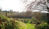 Tour Wandern Villedieu-les-Poêles-Rouffigny - Ceinture Verte - Villedieu les Poëles - Photo 3