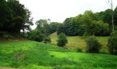 Excursión Senderismo Villedieu-les-Poêles-Rouffigny - Ceinture Verte - Villedieu les Poëles - Photo 1