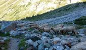 Randonnée Marche Saint-Christophe-en-Oisans - Refuge de Chatelleret - Photo 6