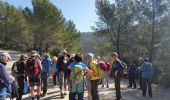 Trail Walking Cuges-les-Pins - cuges semaine 13  - Photo 13