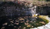 Randonnée Marche Saignon - Le rocher des abeilles - Photo 3