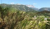 Tour Wandern Châtillon-en-Diois - GTV - Tour du Vercors à pied - Châtillon en Diois - Col de Vassieux  - Photo 2