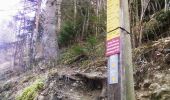 Excursión Senderismo Autrans-Méaudre en Vercors - GTV - Tour du Vercors à pied - Autrans - Saint Nizier du Moucherotte  - Photo 2