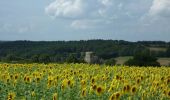 Excursión Senderismo Monétay-sur-Allier - Circuit  Les Blondeaux  - Monétay sur Allier  - Photo 2