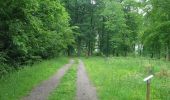 Percorso Marcia Juvaincourt - Sentier du Menu Bois  -  Juvaincourt - Photo 2