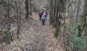 Trail Walking Saint-Amarin - 19.03.27.Samarie.Geishouse - Photo 1