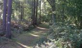 Trail Walking Beuvry-la-Forêt - Circuit de Croix ou Pile - Marchiennes - Photo 1