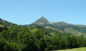 Randonnée Marche Saint-Jacques-des-Blats - Le Puy Griou - Saint Jacques des Blats - Photo 2