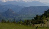 Trail Walking Turriers - La Carraire du bois de Gierre - Turriers - Photo 4