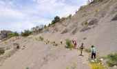 Tocht Stappen Faucon-du-Caire - Le ravin de la Piche et son Rocher-qui-Parle - Faucon du Caire - Photo 1