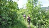 Trail Walking Faucon-du-Caire - Le ravin de la Piche et son Rocher-qui-Parle - Faucon du Caire - Photo 3