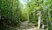 Trail Walking Les Plantiers - Sentier du Rocher de l'Aigle - Photo 2