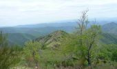 Trail Walking Les Plantiers - Sentier du Rocher de l'Aigle - Photo 1