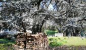 Tour Wandern Court-Saint-Étienne - Autour du Chenoy - Photo 8