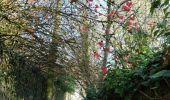 Tour Wandern Court-Saint-Étienne - Autour du Chenoy - Photo 5