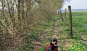 Excursión Senderismo Neufchâteau - Marche Chestrolaise Neufchâteau 10km 2019 - Photo 11