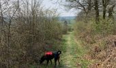 Excursión Senderismo Neufchâteau - Marche Chestrolaise Neufchâteau 10km 2019 - Photo 8