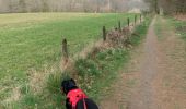 Tocht Stappen Neufchâteau - Marche Chestrolaise Neufchâteau 10km 2019 - Photo 6