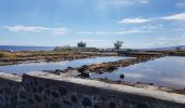 Excursión Senderismo L'Étang-Salé - Balade le long de l'océan d'Etang Salé à St Leu - Photo 2