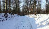 Randonnée Marche Étalle - GAUME Foret de Chantemelle en hivers - Photo 11