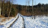 Trail Walking Étalle - GAUME Foret de Chantemelle en hivers - Photo 10