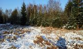 Trail Walking Étalle - GAUME Foret de Chantemelle en hivers - Photo 9