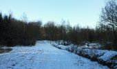 Trail Walking Étalle - GAUME Foret de Chantemelle en hivers - Photo 8