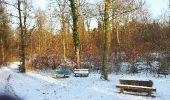Trail Walking Étalle - GAUME Foret de Chantemelle en hivers - Photo 7