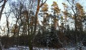 Trail Walking Étalle - GAUME Foret de Chantemelle en hivers - Photo 5