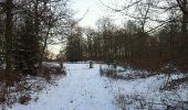 Trail Walking Étalle - GAUME Foret de Chantemelle en hivers - Photo 4