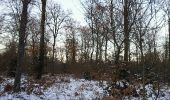 Trail Walking Étalle - GAUME Foret de Chantemelle en hivers - Photo 3