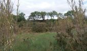 Tocht Stappen Banyuls-dels-Aspres - banyul tels aspres .  brouilla par les vigne retour le long du Tech  - Photo 4