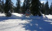 Trail Winter sports Hauteluce - Les Saisies - Photo 6