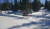 Trail Winter sports Hauteluce - Les Saisies - Photo 5