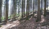 Randonnée Marche Pepinster - fraipont tncremont att bois privés  - Photo 9